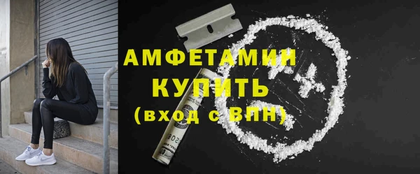 мдпв Рославль