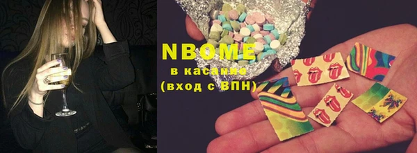 мдпв Рославль