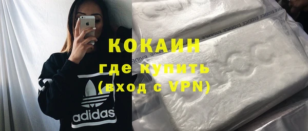 мдпв Рославль