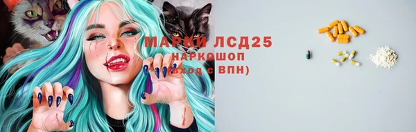 СК Протвино