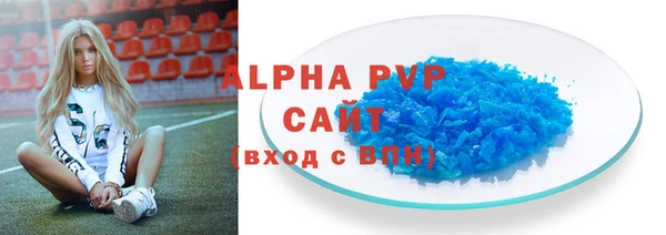 мдпв Рославль