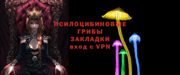 mdpv Пролетарск