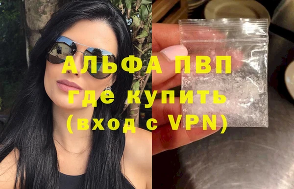 СК Протвино