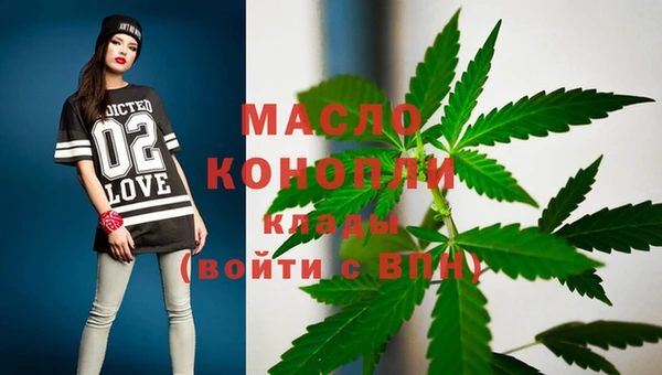 СК Протвино